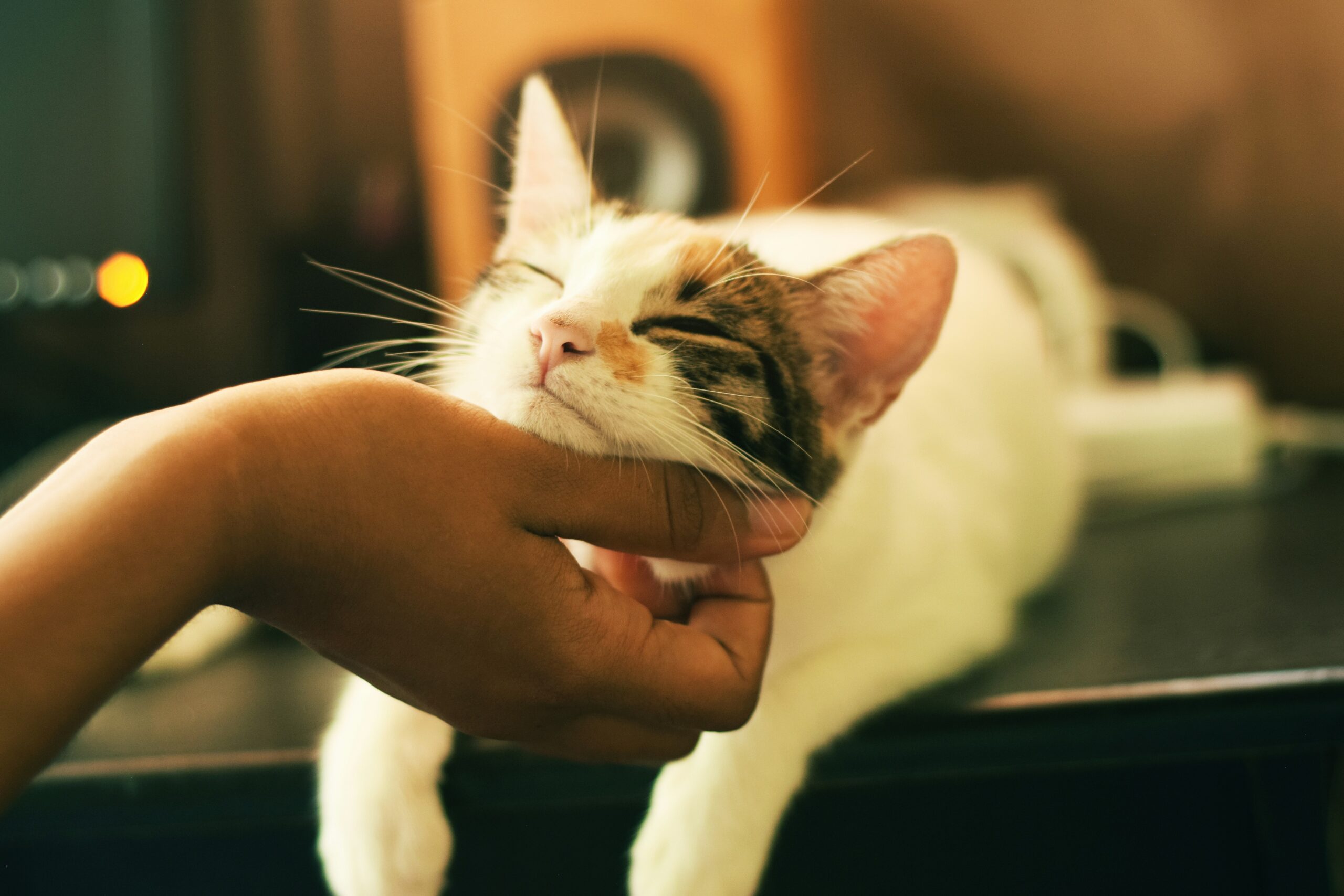 Hello World Featured Image